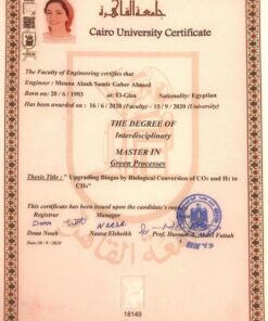 Buy college degree from The American University in Cairo