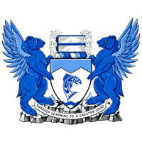 Category Image